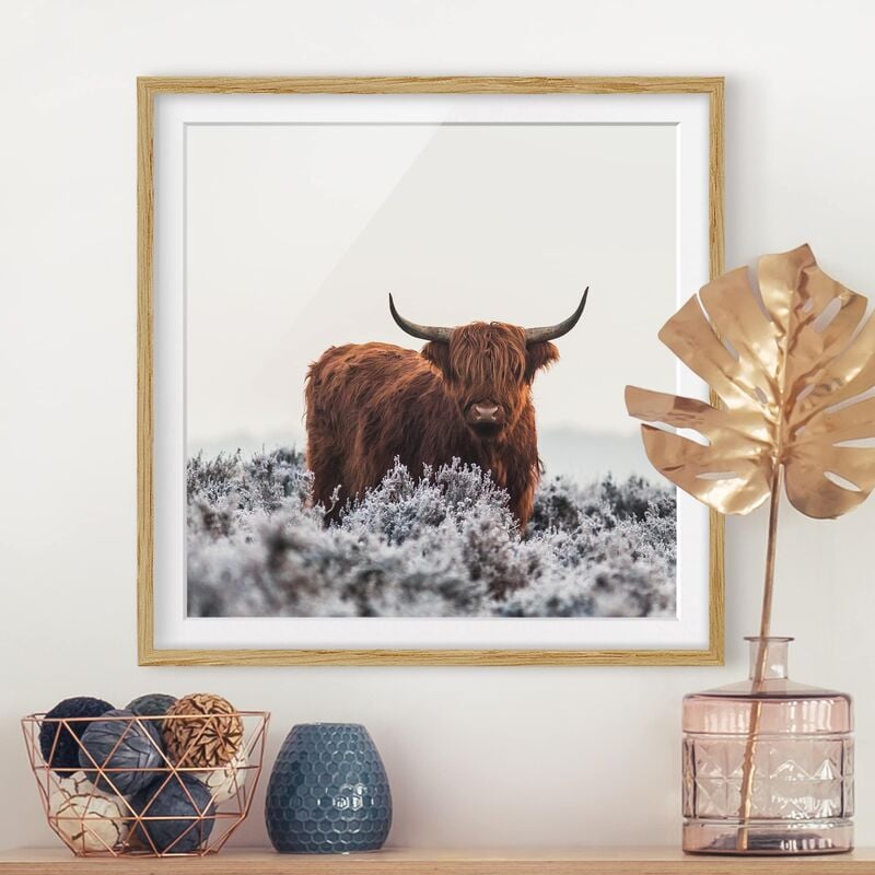 Póster enmarcado - Bisonte Nelle Highlands Dimensión LxA: 30cm x 30cm, Marco: Roble
Póster enmarcado - Bisonte Nelle Highlands Dimensión LxA: 30cm x 30cm, Marco: Roble