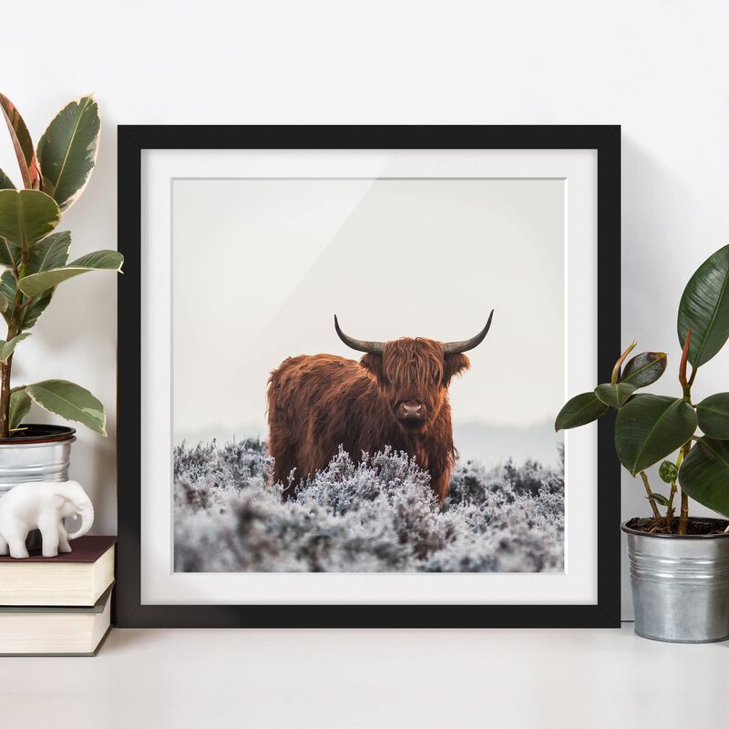 Póster enmarcado - Bisonte Nelle Highlands Dimensión LxA: 20cm x 20cm, Marco: Negro
Póster enmarcado - Bisonte Nelle Highlands Dimensión LxA: 20cm x 20cm, Marco: Negro