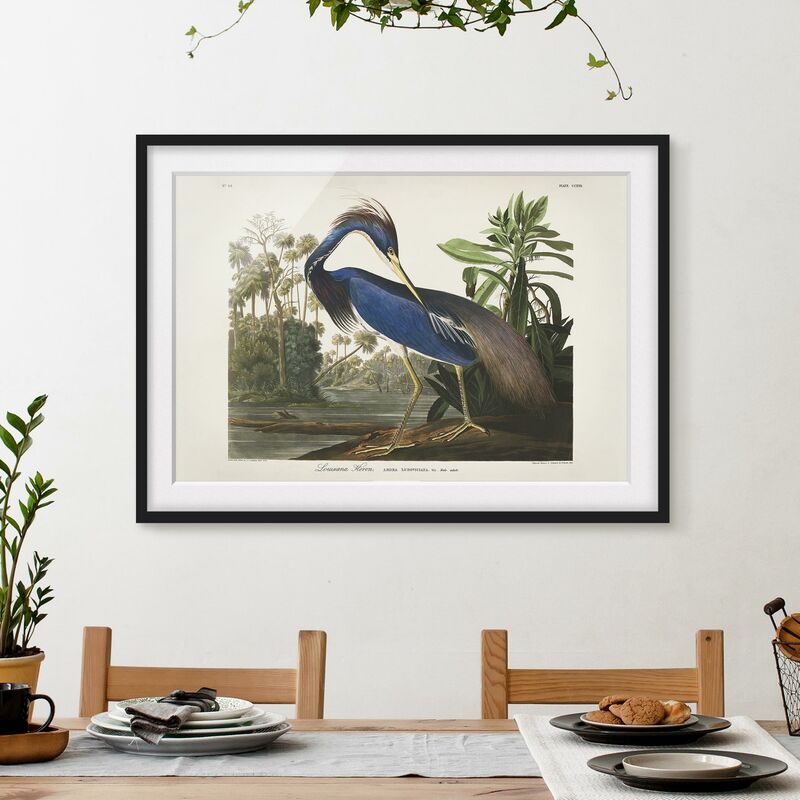 Póster enmarcado - bordo Vintage Louisiana Heron Dimensión LxA: 18cm x 24cm, Marco: Negro
Póster enmarcado - bordo Vintage Louisiana Heron Dimensión LxA: 18cm x 24cm, Marco: Negro