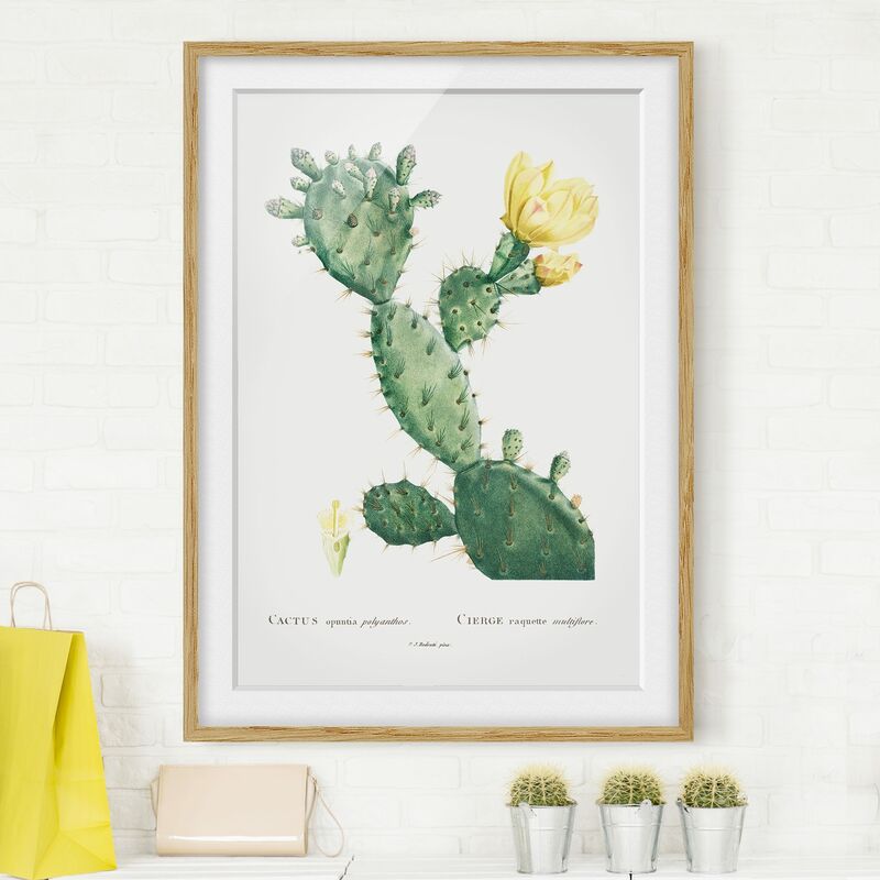 Póster enmarcado - Botanica illustrazione d'epoca di cactus con fiore giallo Dimensión LxA: 40cm x 30cm, Marco: Roble
Póster enmarcado - Botanica illustrazione d'epoca di cactus con fiore giallo Dimensión LxA: 40cm x 30cm, Marco: Roble