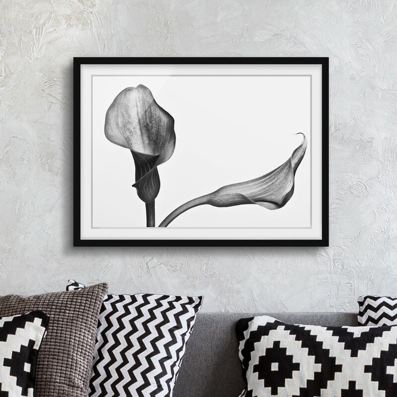 Póster enmarcado - Calla Close-up Bianco e nero Dimensión LxA: 70cm x 100cm, Marco: Negro
Póster enmarcado - Calla Close-up Bianco e nero Dimensión LxA: 70cm x 100cm, Marco: Negro