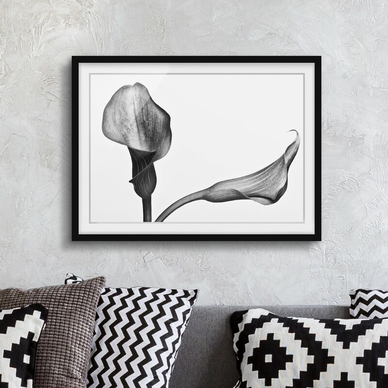 Póster enmarcado - Calla Close-up Bianco e nero Dimensión LxA: 40cm x 55cm, Marco: Negro
Póster enmarcado - Calla Close-up Bianco e nero Dimensión LxA: 40cm x 55cm, Marco: Negro