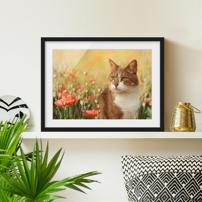 Póster enmarcado - Cat In A Field Of Poppies Dimensión LxA: 18cm x 24cm, Marco: Negro
Póster enmarcado - Cat In A Field Of Poppies Dimensión LxA: 18cm x 24cm, Marco: Negro