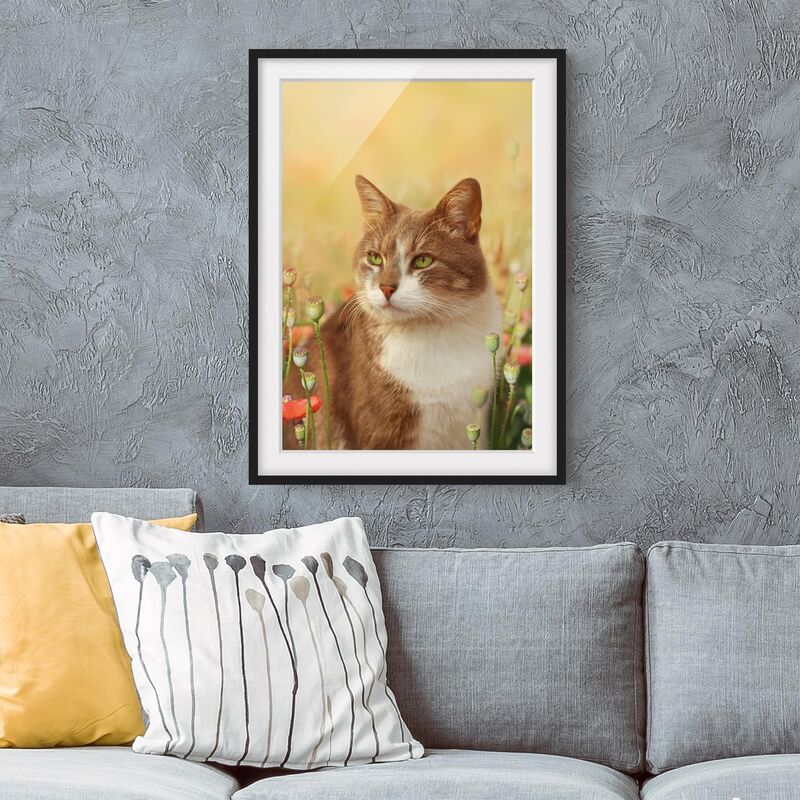 Póster enmarcado - Cat In A Field Of Poppies Dimensión LxA: 70cm x 50cm, Marco: Negro
Póster enmarcado - Cat In A Field Of Poppies Dimensión LxA: 70cm x 50cm, Marco: Negro