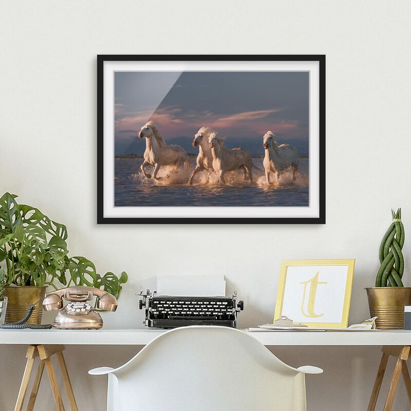 Póster enmarcado - Cavalli selvaggi in Kamargue Dimensión LxA: 70cm x 100cm, Marco: Negro
Póster enmarcado - Cavalli selvaggi in Kamargue Dimensión LxA: 70cm x 100cm, Marco: Negro