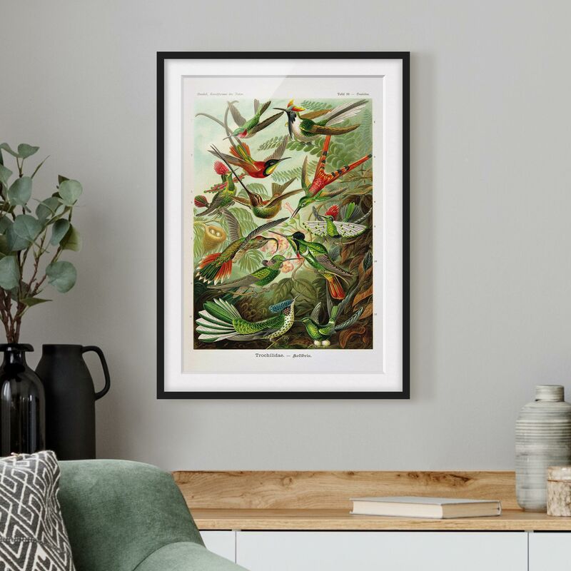 Póster enmarcado - Colibrì Consiglio d'epoca Dimensión LxA: 100cm x 70cm, Marco: Negro
Póster enmarcado - Colibrì Consiglio d'epoca Dimensión LxA: 100cm x 70cm, Marco: Negro