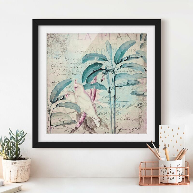 Póster enmarcado - Coloniale Collage - cacatua e Palme Dimensión LxA: 50cm x 50cm, Marco: Negro
Póster enmarcado - Coloniale Collage - cacatua e Palme Dimensión LxA: 50cm x 50cm, Marco: Negro