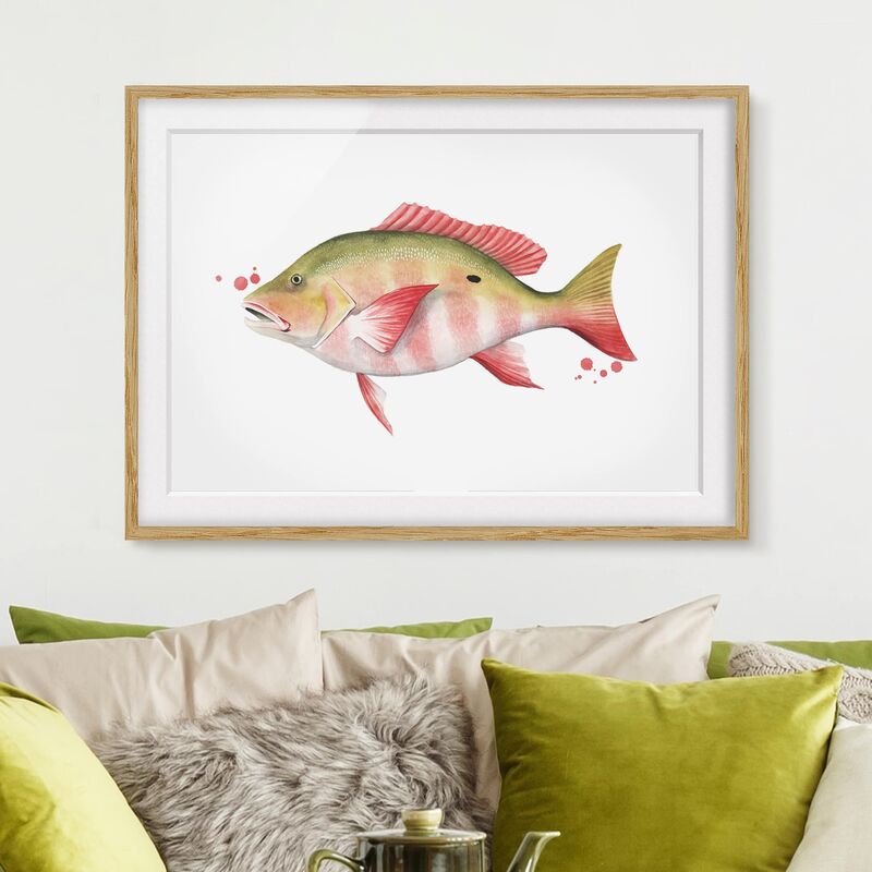 Póster enmarcado - Color Catch - Northern Red Snapper Dimensión LxA: 30cm x 40cm, Marco: Roble
Póster enmarcado - Color Catch - Northern Red Snapper Dimensión LxA: 30cm x 40cm, Marco: Roble