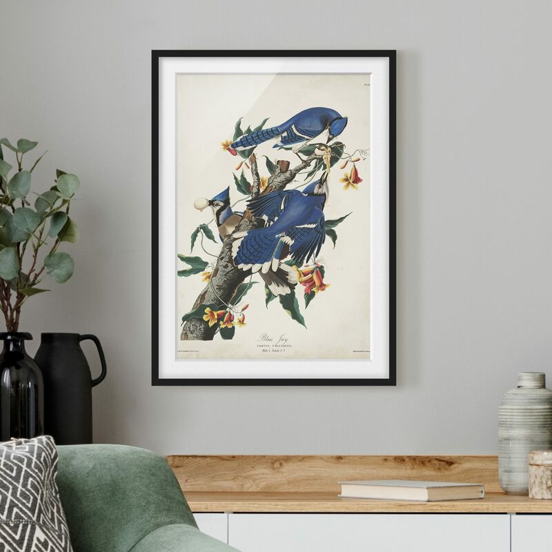 Póster enmarcado - Consiglio Blue Jays d'epoca Dimensión LxA: 55cm x 40cm, Marco: Negro
Póster enmarcado - Consiglio Blue Jays d'epoca Dimensión LxA: 55cm x 40cm, Marco: Negro