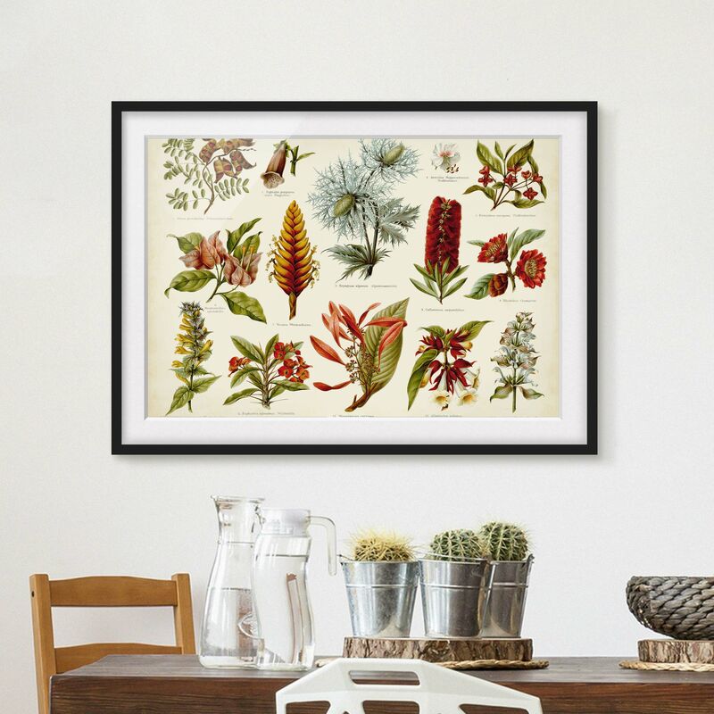 Póster enmarcado - Consiglio d'epoca Tropical Botany I Dimensión LxA: 50cm x 70cm, Marco: Negro
Póster enmarcado - Consiglio d'epoca Tropical Botany I Dimensión LxA: 50cm x 70cm, Marco: Negro