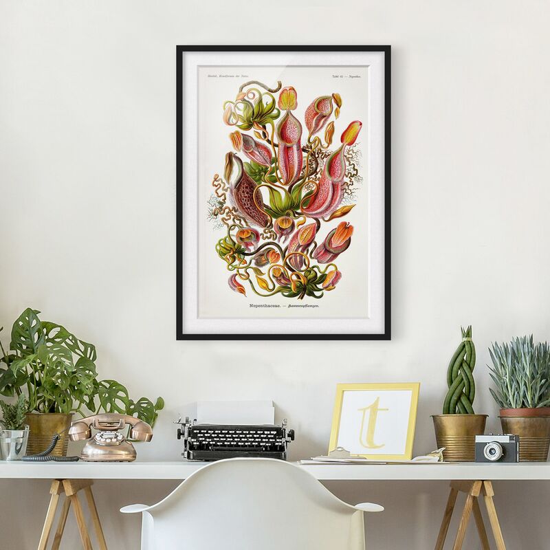 Póster enmarcado - Consiglio Vintage Piante Illustrazione Rosso Verde Dimensión LxA: 70cm x 50cm, Marco: Negro
Póster enmarcado - Consiglio Vintage Piante Illustrazione Rosso Verde Dimensión LxA: 70cm x 50cm, Marco: Negro