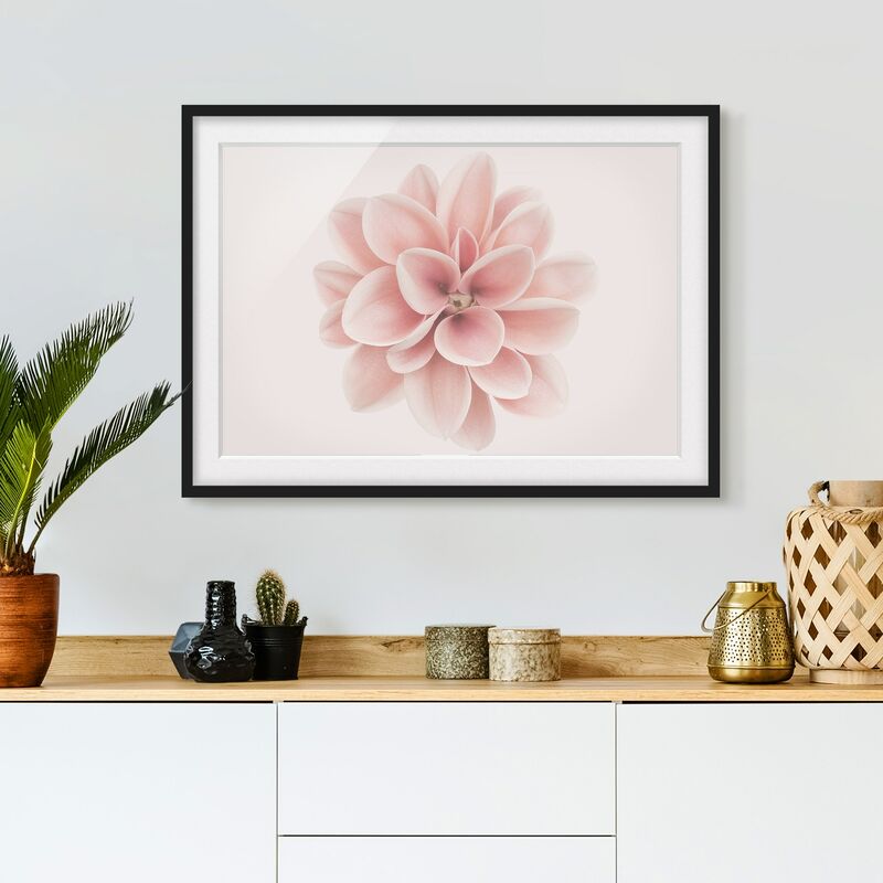 Póster enmarcado - Dalia centrata in pastello rosa Dimensión LxA: 70cm x 100cm, Marco: Negro
Póster enmarcado - Dalia centrata in pastello rosa Dimensión LxA: 70cm x 100cm, Marco: Negro