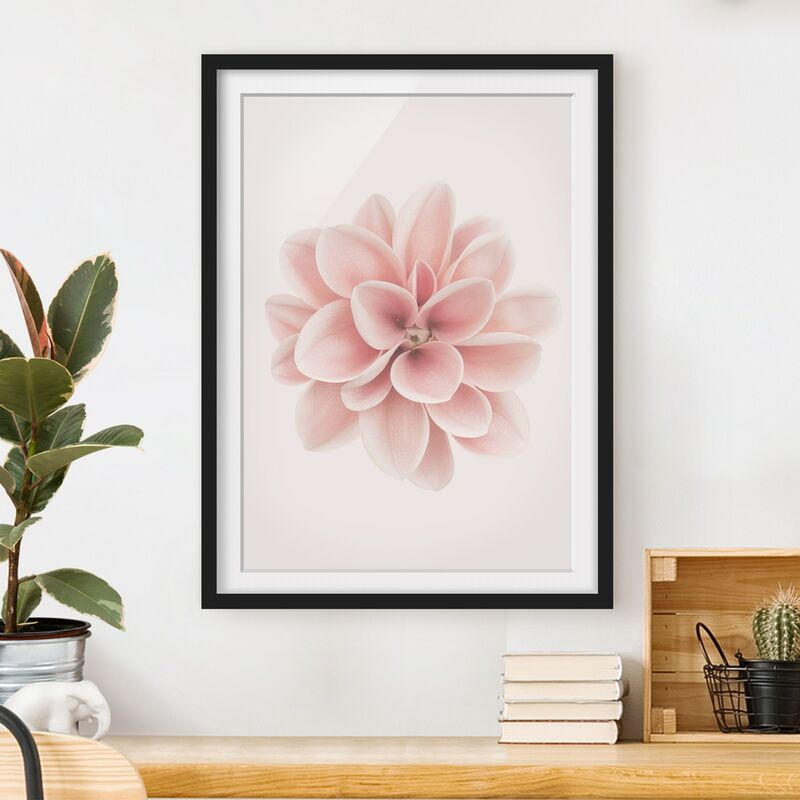 Póster enmarcado - Dalia centrata in pastello rosa Dimensión LxA: 70cm x 50cm, Marco: Negro
Póster enmarcado - Dalia centrata in pastello rosa Dimensión LxA: 70cm x 50cm, Marco: Negro