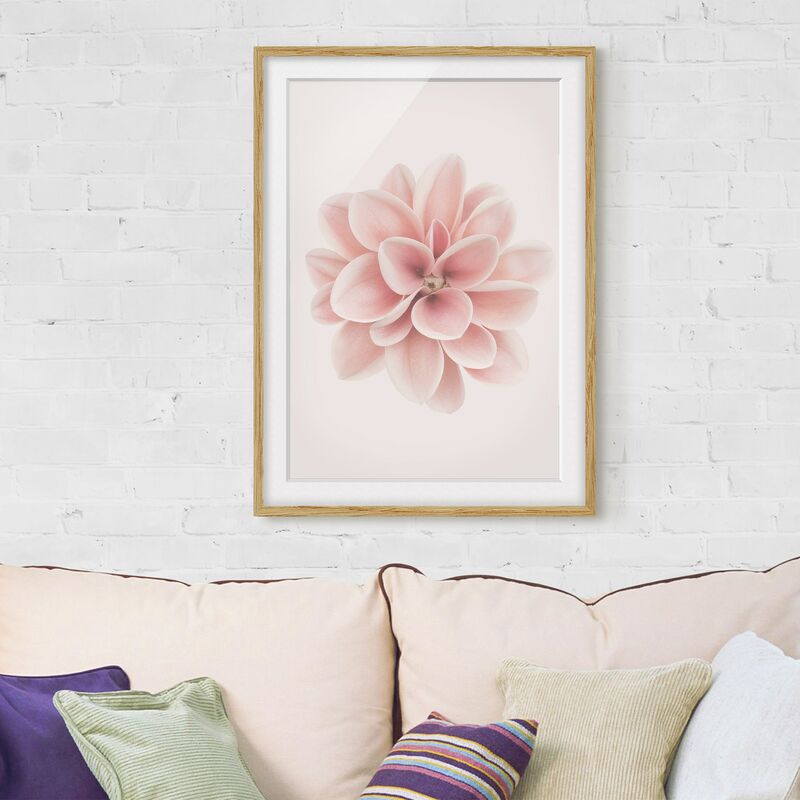 Póster enmarcado - Dalia centrata in pastello rosa Dimensión LxA: 24cm x 18cm, Marco: Roble
Póster enmarcado - Dalia centrata in pastello rosa Dimensión LxA: 24cm x 18cm, Marco: Roble