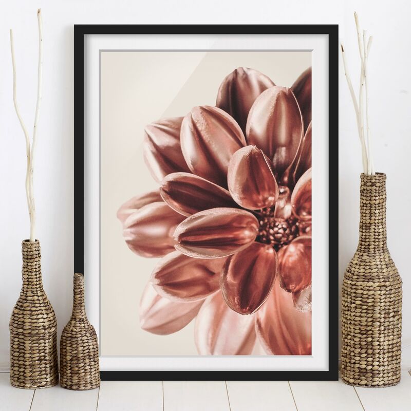 Póster enmarcado - Dalia dorata di rame Dimensión LxA: 100cm x 70cm, Marco: Negro
Póster enmarcado - Dalia dorata di rame Dimensión LxA: 100cm x 70cm, Marco: Negro