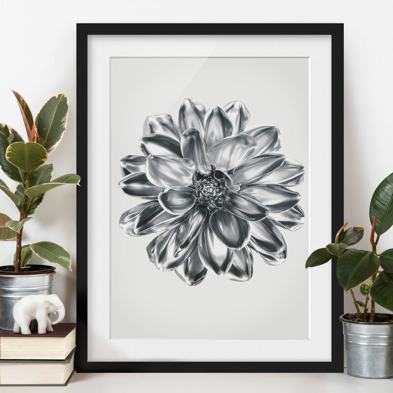 Póster enmarcado - Dalia in argento metallico Dimensión LxA: 70cm x 50cm, Marco: Negro
Póster enmarcado - Dalia in argento metallico Dimensión LxA: 70cm x 50cm, Marco: Negro