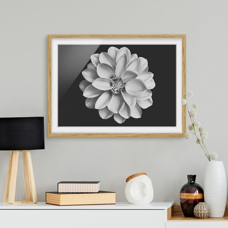 Póster enmarcado - Dalia in bianco e nero Dimensión LxA: 40cm x 55cm, Marco: Roble
Póster enmarcado - Dalia in bianco e nero Dimensión LxA: 40cm x 55cm, Marco: Roble