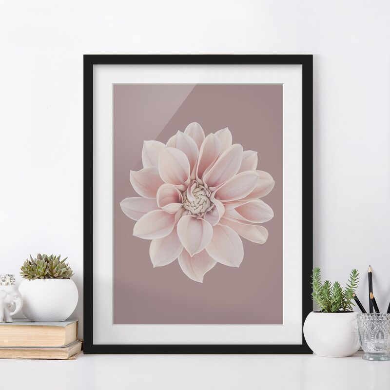 Póster enmarcado - Dalia in lavanda bianca e rosa Dimensión LxA: 40cm x 30cm, Marco: Negro
Póster enmarcado - Dalia in lavanda bianca e rosa Dimensión LxA: 40cm x 30cm, Marco: Negro