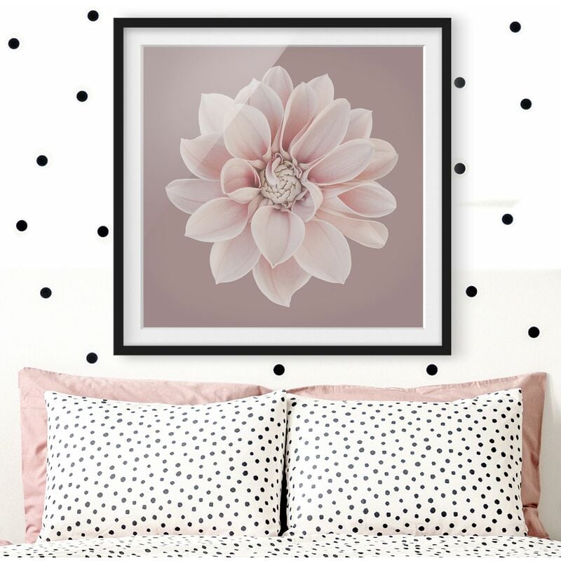 Póster enmarcado - Dalia in lavanda bianca e rosa Dimensión LxA: 70cm x 70cm, Marco: Negro
Póster enmarcado - Dalia in lavanda bianca e rosa Dimensión LxA: 70cm x 70cm, Marco: Negro
