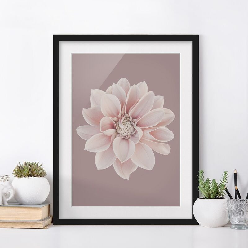 Póster enmarcado - Dalia in lavanda bianca e rosa Dimensión LxA: 70cm x 50cm, Marco: Negro
Póster enmarcado - Dalia in lavanda bianca e rosa Dimensión LxA: 70cm x 50cm, Marco: Negro