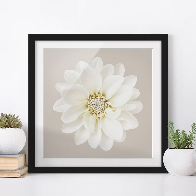Póster enmarcado - Dalia in pastello bianco e grigio talpa centrata Dimensión LxA: 70cm x 70cm, Marco: Negro
Póster enmarcado - Dalia in pastello bianco e grigio talpa centrata Dimensión LxA: 70cm x 70cm, Marco: Negro