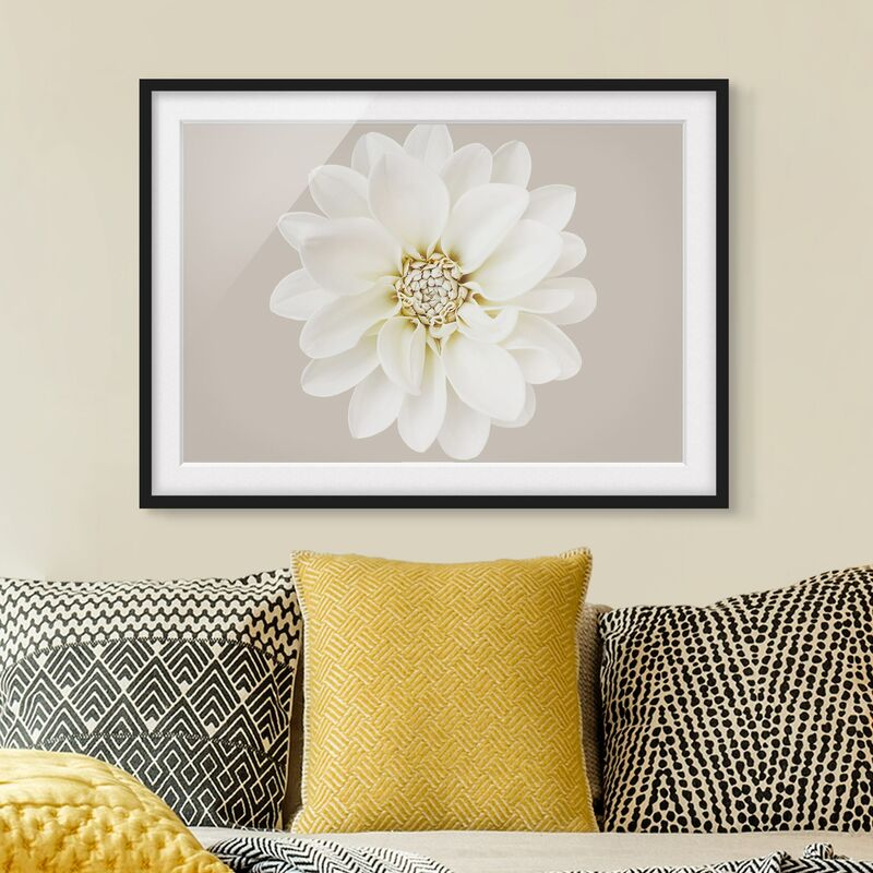 Póster enmarcado - Dalia in pastello bianco e grigio talpa centrata Dimensión LxA: 50cm x 70cm, Marco: Negro
Póster enmarcado - Dalia in pastello bianco e grigio talpa centrata Dimensión LxA: 50cm x 70cm, Marco: Negro