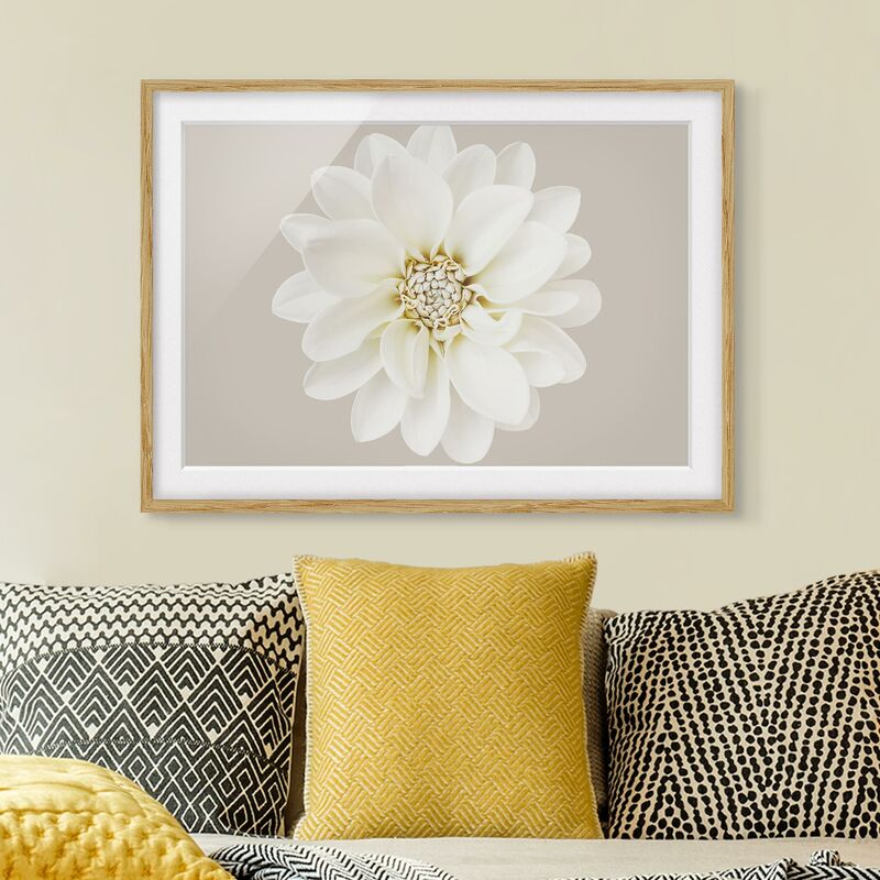 Póster enmarcado - Dalia in pastello bianco e grigio talpa centrata Dimensión LxA: 30cm x 40cm, Marco: Roble
Póster enmarcado - Dalia in pastello bianco e grigio talpa centrata Dimensión LxA: 30cm x 40cm, Marco: Roble