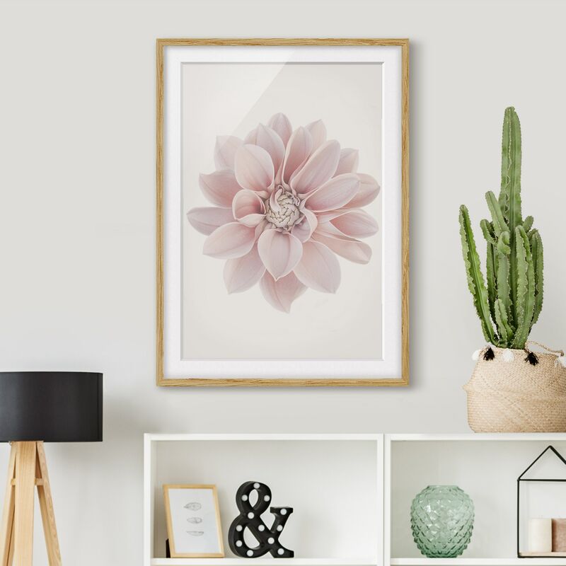 Póster enmarcado - Dalia in pastello bianco e rosa Dimensión LxA: 24cm x 18cm, Marco: Roble
Póster enmarcado - Dalia in pastello bianco e rosa Dimensión LxA: 24cm x 18cm, Marco: Roble