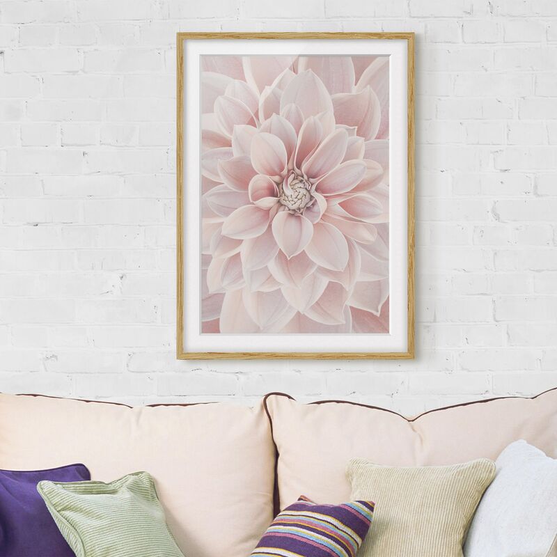 Póster enmarcado - Dalia in rosa cipria Dimensión LxA: 100cm x 70cm, Marco: Roble
Póster enmarcado - Dalia in rosa cipria Dimensión LxA: 100cm x 70cm, Marco: Roble