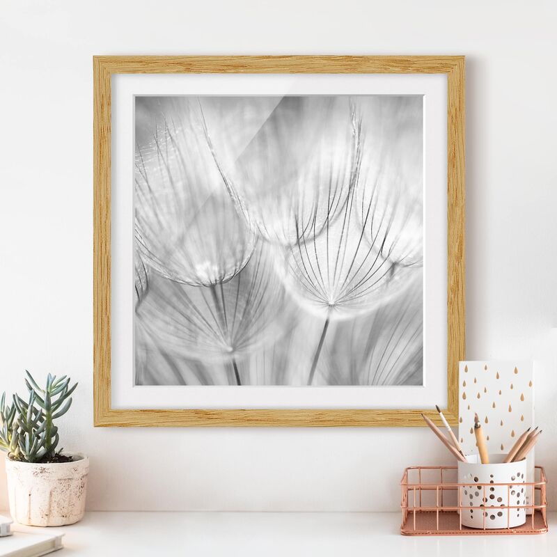 Póster enmarcado - Dandelions Macro Shot In Black And White Dimensión LxA: 50cm x 50cm, Marco: Roble
Póster enmarcado - Dandelions Macro Shot In Black And White Dimensión LxA: 50cm x 50cm, Marco: Roble
