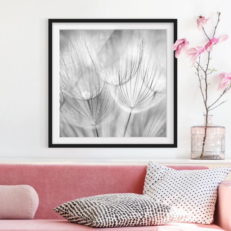 Póster enmarcado - Dandelions Macro Shot In Black And White Dimensión LxA: 30cm x 30cm, Marco: Negro
Póster enmarcado - Dandelions Macro Shot In Black And White Dimensión LxA: 30cm x 30cm, Marco: Negro