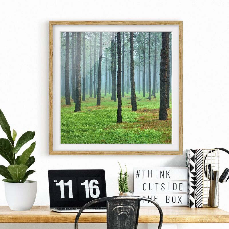 Póster enmarcado - Deep Forest With Pine Trees On La Palma Dimensión LxA: 50cm x 50cm, Marco: Roble
Póster enmarcado - Deep Forest With Pine Trees On La Palma Dimensión LxA: 50cm x 50cm, Marco: Roble