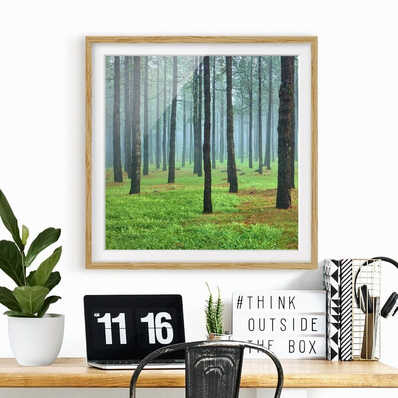 Póster enmarcado - Deep Forest With Pine Trees On La Palma Dimensión LxA: 30cm x 30cm, Marco: Roble
Póster enmarcado - Deep Forest With Pine Trees On La Palma Dimensión LxA: 30cm x 30cm, Marco: Roble