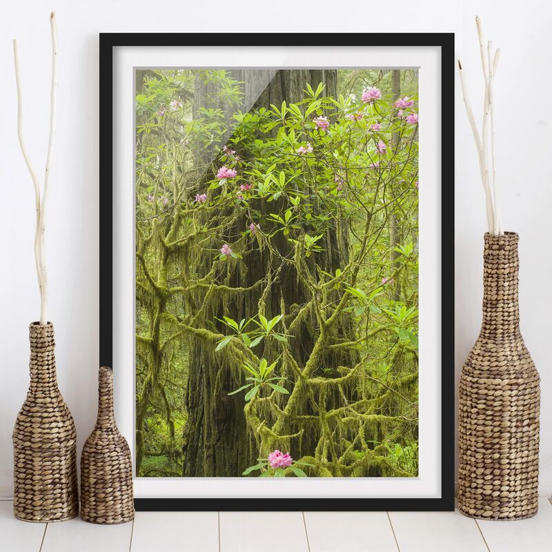 Póster enmarcado - Del Norte Coast Redwoods State Park California Dimensión LxA: 40cm x 30cm, Marco: Negro
Póster enmarcado - Del Norte Coast Redwoods State Park California Dimensión LxA: 40cm x 30cm, Marco: Negro