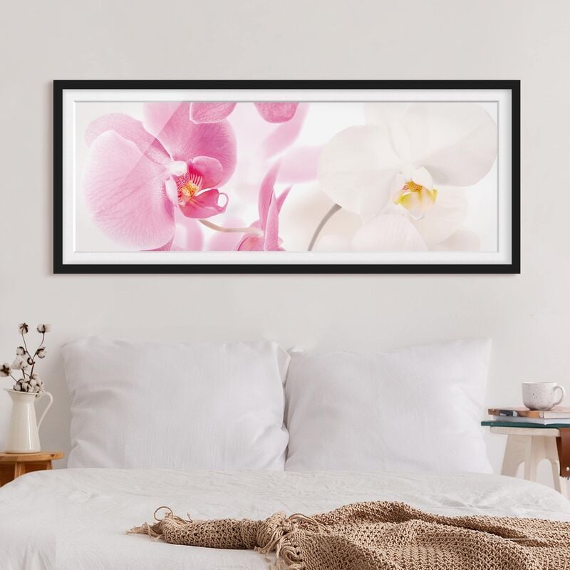 Póster enmarcado - Delicate Orchidee Dimensión LxA: 20cm x 50cm, Marco: Negro
Póster enmarcado - Delicate Orchidee Dimensión LxA: 20cm x 50cm, Marco: Negro