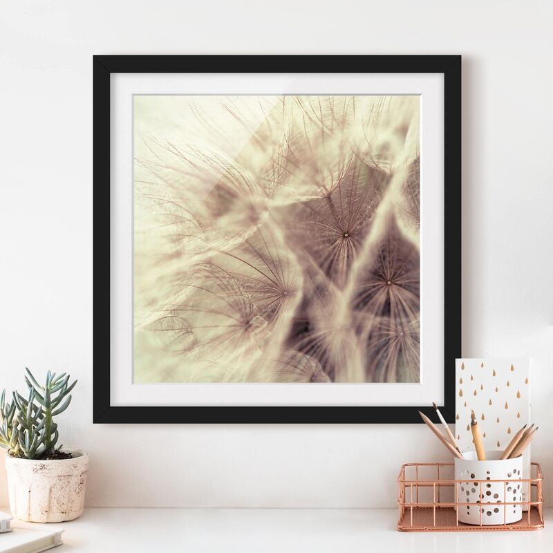 Póster enmarcado - Detailed And Dandelion Macro Shot With Vintage Blur Effect Dimensión LxA: 20cm x 20cm, Marco: Negro
Póster enmarcado - Detailed And Dandelion Macro Shot With Vintage Blur Effect Dimensión LxA: 20cm x 20cm, Marco: Negro