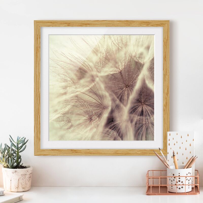 Póster enmarcado - Detailed And Dandelion Macro Shot With Vintage Blur Effect Dimensión LxA: 70cm x 70cm, Marco: Roble
Póster enmarcado - Detailed And Dandelion Macro Shot With Vintage Blur Effect Dimensión LxA: 70cm x 70cm, Marco: Roble