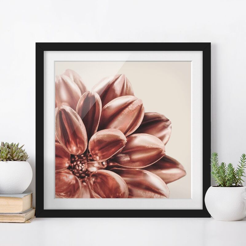 Póster enmarcado - Dettaglio di dalia rosa dorato Dimensión LxA: 20cm x 20cm, Marco: Negro
Póster enmarcado - Dettaglio di dalia rosa dorato Dimensión LxA: 20cm x 20cm, Marco: Negro