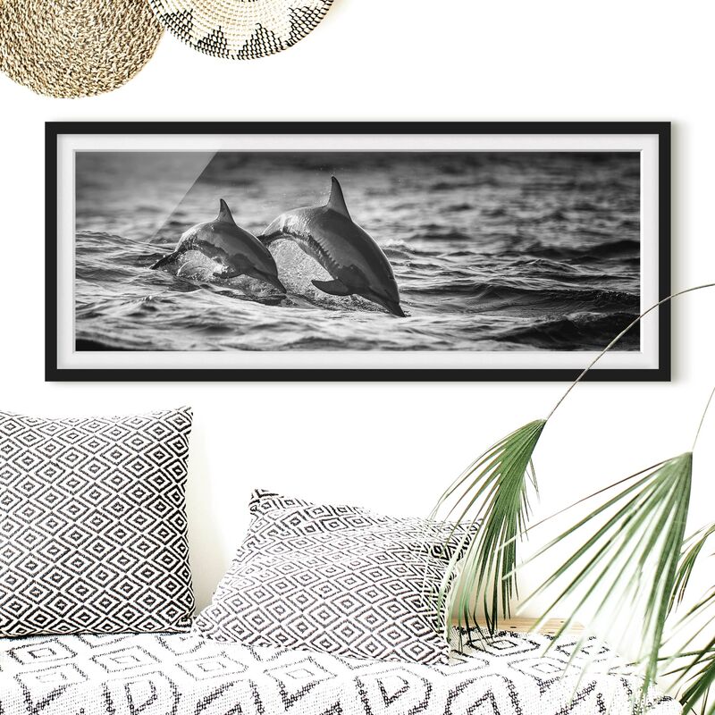 Póster enmarcado - Due delfini che saltano Dimensión LxA: 30cm x 75cm, Marco: Negro
Póster enmarcado - Due delfini che saltano Dimensión LxA: 30cm x 75cm, Marco: Negro
