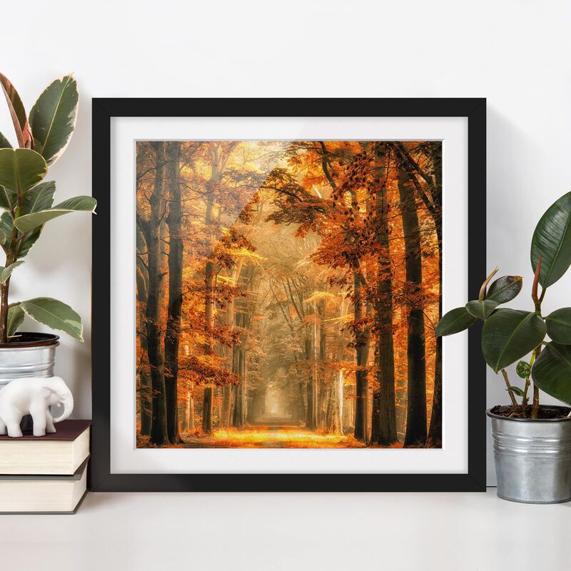 Póster enmarcado - Enchanted Forest In Autumn Dimensión LxA: 70cm x 70cm, Marco: Negro
Póster enmarcado - Enchanted Forest In Autumn Dimensión LxA: 70cm x 70cm, Marco: Negro