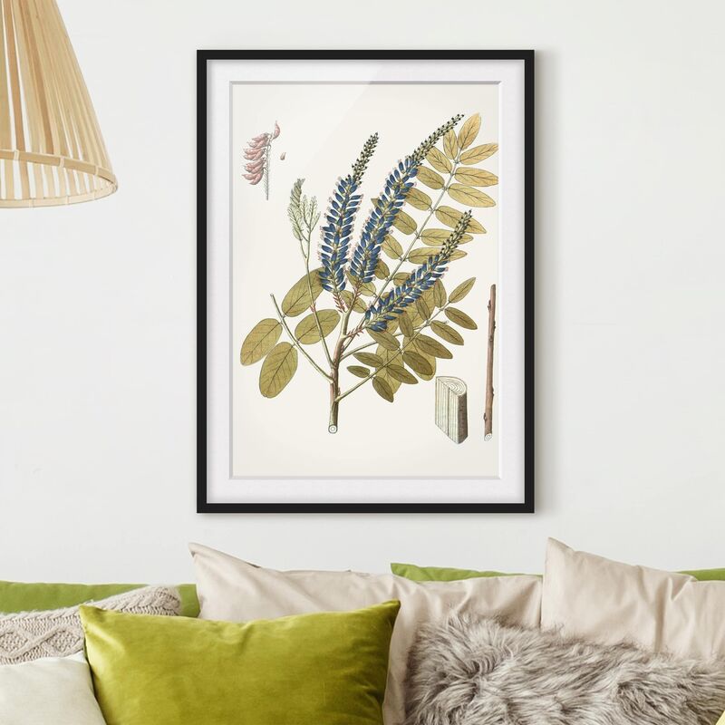 Póster enmarcado - Erbe Selvatiche Schautfalel Ii Dimensión LxA: 100cm x 70cm, Marco: Negro 
Póster enmarcado - Erbe Selvatiche Schautfalel Ii Dimensión LxA: 100cm x 70cm, Marco: Negro