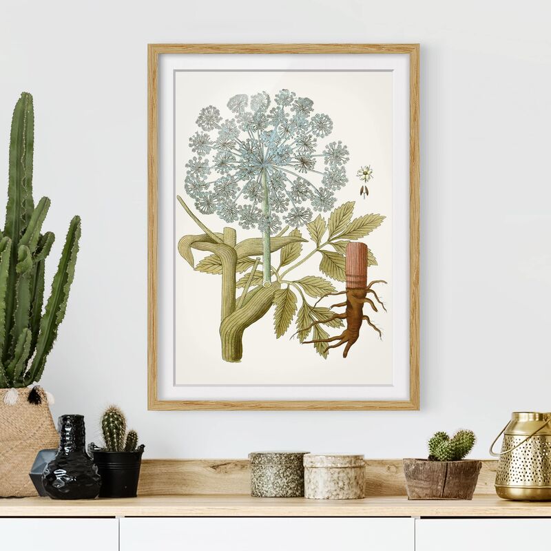 Póster enmarcado - Erbe Selvatiche Schautfalel Iii Dimensión LxA: 70cm x 50cm, Marco: Roble
Póster enmarcado - Erbe Selvatiche Schautfalel Iii Dimensión LxA: 70cm x 50cm, Marco: Roble