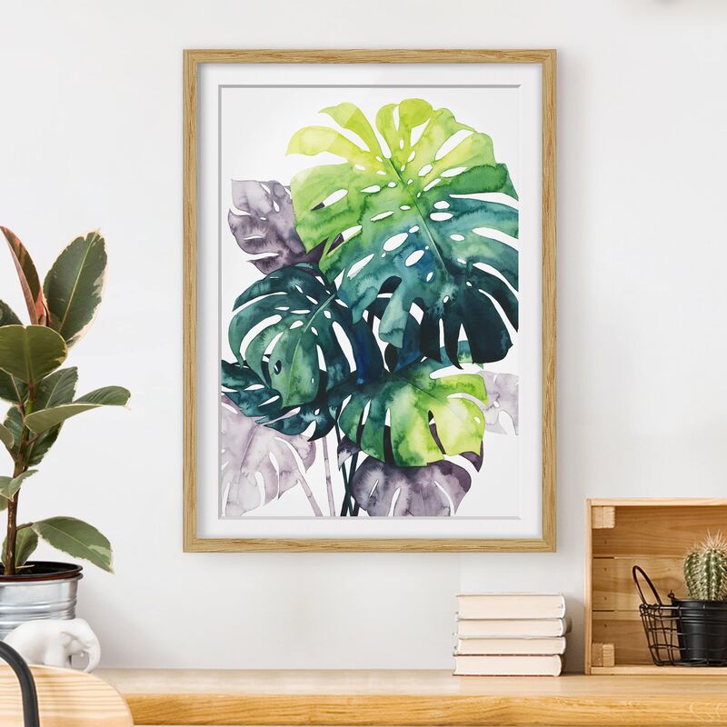 Póster enmarcado - Exotic Fogliame - Monstera Dimensión LxA: 70cm x 50cm, Marco: Roble
Póster enmarcado - Exotic Fogliame - Monstera Dimensión LxA: 70cm x 50cm, Marco: Roble