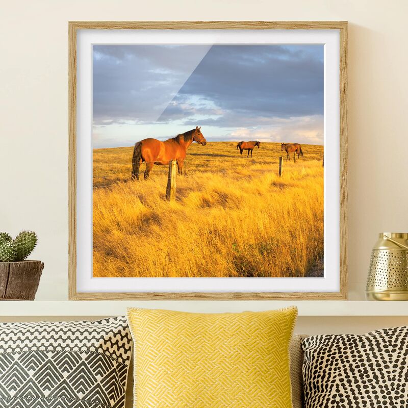 Póster enmarcado - Field Road And Horse In Evening Sun Dimensión LxA: 30cm x 30cm, Marco: Roble
Póster enmarcado - Field Road And Horse In Evening Sun Dimensión LxA: 30cm x 30cm, Marco: Roble