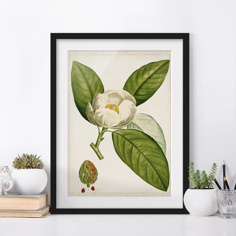 Póster enmarcado - Foglia Tableau Fiore Frutta Ii Dimensión LxA: 70cm x 50cm, Marco: Negro
Póster enmarcado - Foglia Tableau Fiore Frutta Ii Dimensión LxA: 70cm x 50cm, Marco: Negro