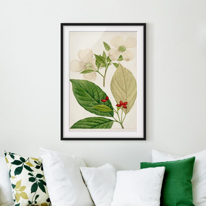 Póster enmarcado - Foglia Tableau Fiore Frutta Iii Dimensión LxA: 40cm x 30cm, Marco: Negro
Póster enmarcado - Foglia Tableau Fiore Frutta Iii Dimensión LxA: 40cm x 30cm, Marco: Negro
