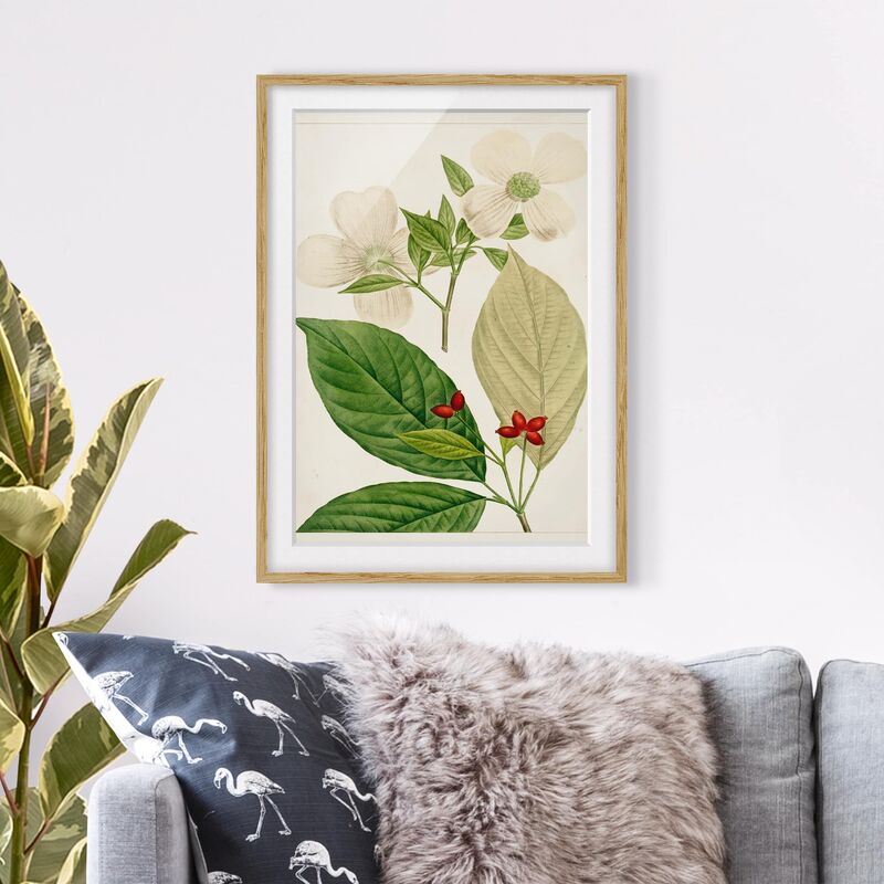Póster enmarcado - Foglia Tableau Fiore Frutta Iii Dimensión LxA: 70cm x 50cm, Marco: Roble
Póster enmarcado - Foglia Tableau Fiore Frutta Iii Dimensión LxA: 70cm x 50cm, Marco: Roble