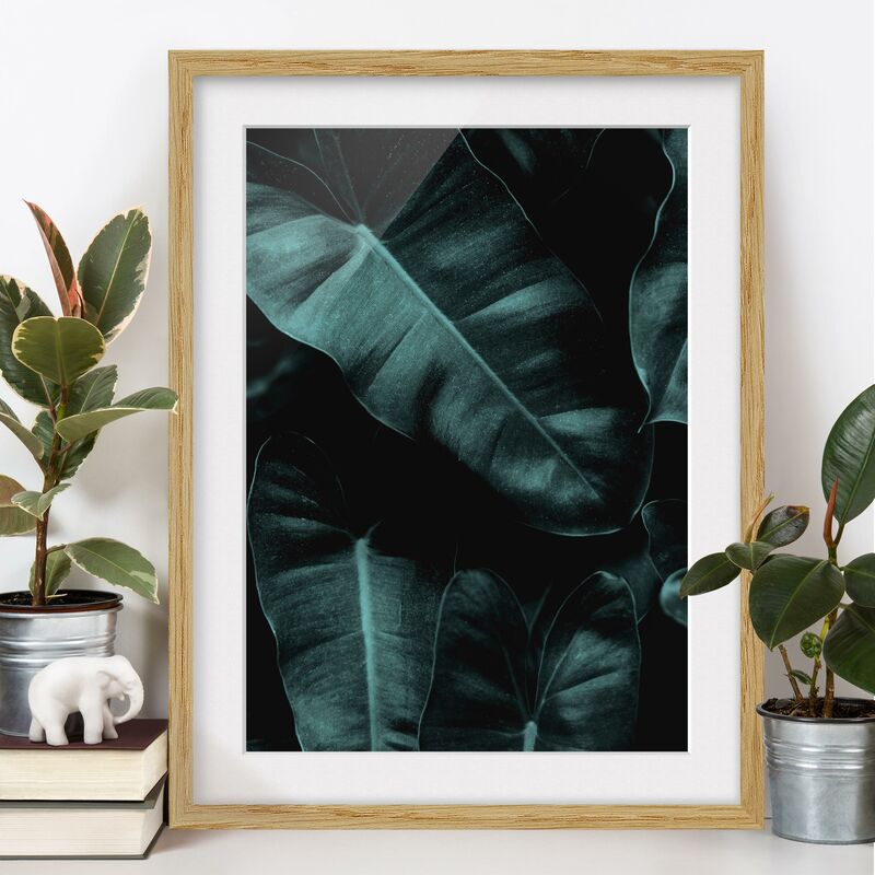Póster enmarcado - Foglie della giungla verde scuro Dimensión LxA: 55cm x 40cm, Marco: Roble
Póster enmarcado - Foglie della giungla verde scuro Dimensión LxA: 55cm x 40cm, Marco: Roble