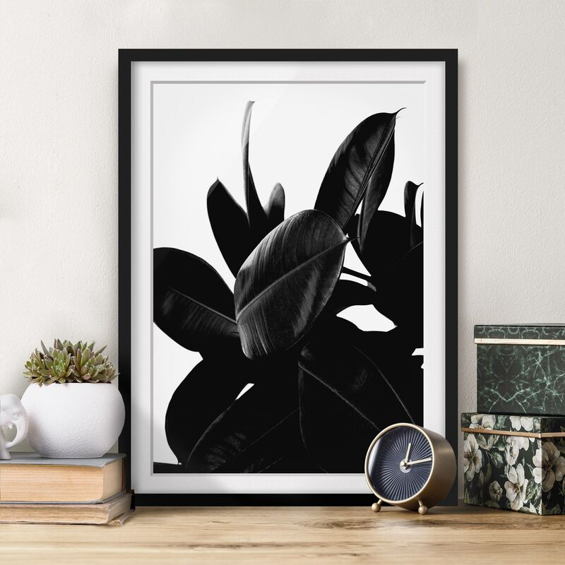 Póster enmarcado - Foglie dell'albero della gomma bianco e nero Dimensión LxA: 70cm x 50cm, Marco: Negro
Póster enmarcado - Foglie dell'albero della gomma bianco e nero Dimensión LxA: 70cm x 50cm, Marco: Negro