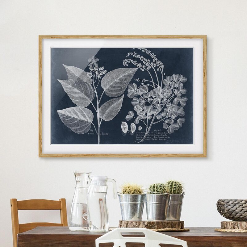 Póster enmarcado - Foliage Dark Blue - Annotto Dimensión LxA: 70cm x 100cm, Marco: Roble
Póster enmarcado - Foliage Dark Blue - Annotto Dimensión LxA: 70cm x 100cm, Marco: Roble